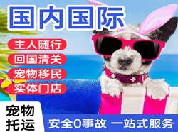 朔州滋润机场货运国际宠物托运 【国
